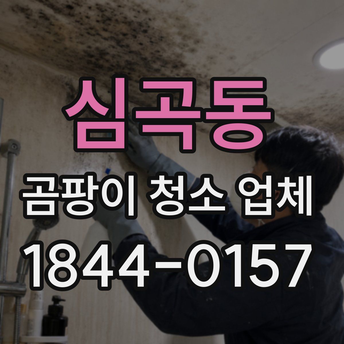 심곡동 곰팡이 청소 업체