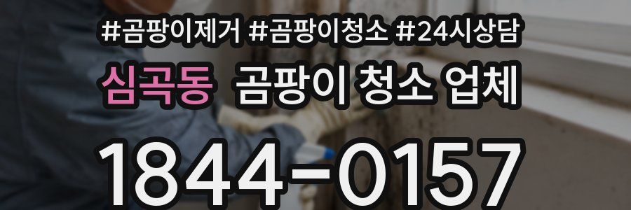 심곡동 곰팡이 청소 업체