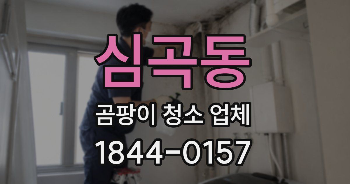 심곡동 곰팡이 청소 업체