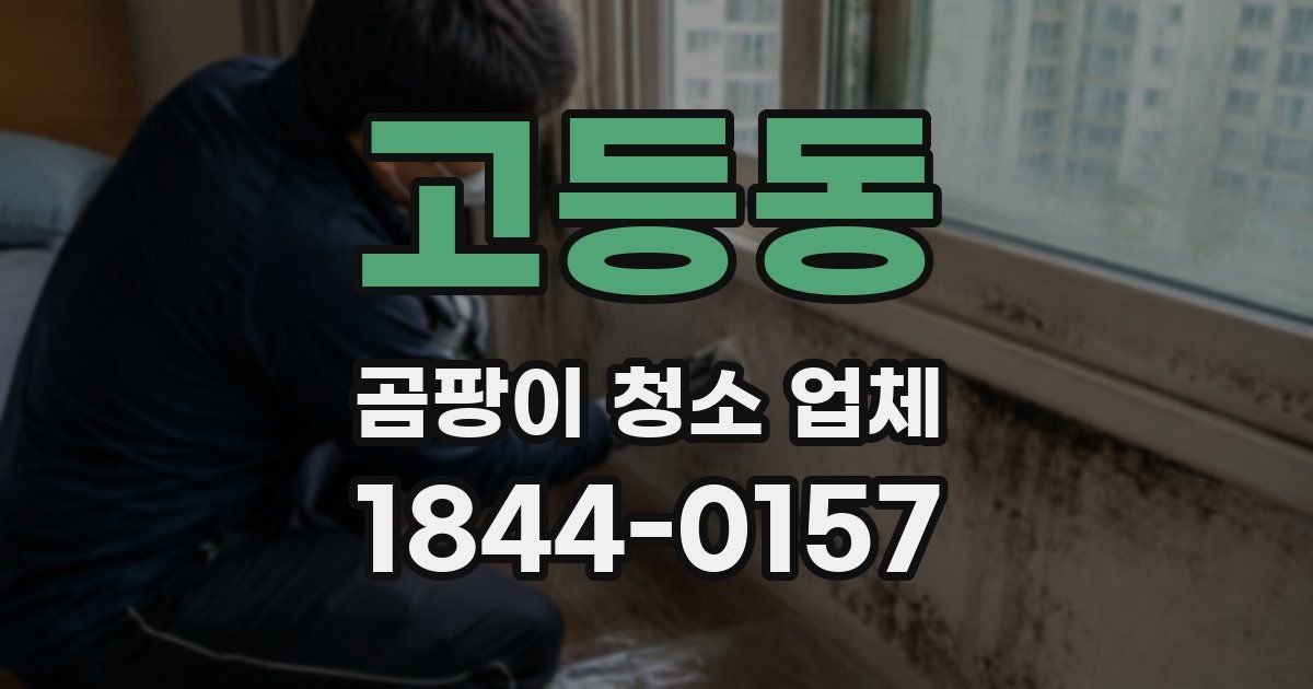 고등동 곰팡이 청소 업체