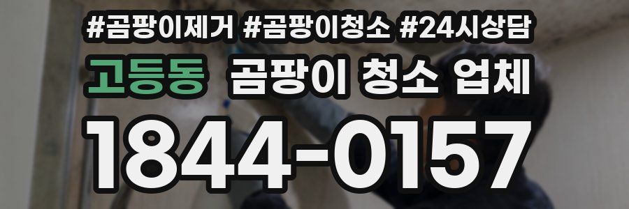 고등동 곰팡이 청소 업체