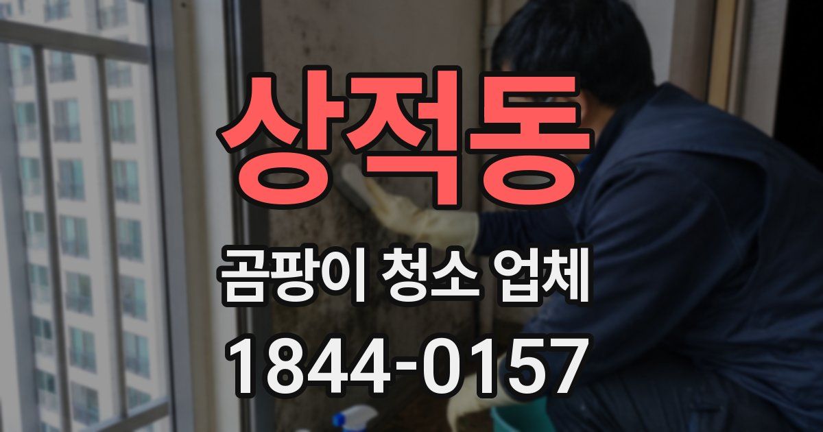 상적동 곰팡이 청소 업체