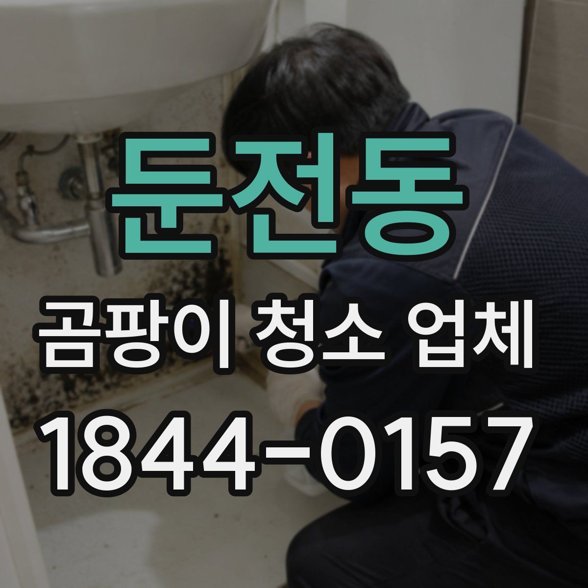 둔전동 곰팡이 청소 업체