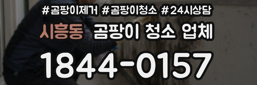 시흥동 곰팡이 청소 업체