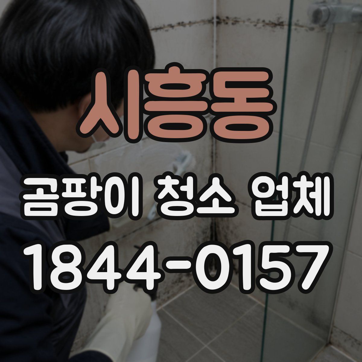 시흥동 곰팡이 청소 업체