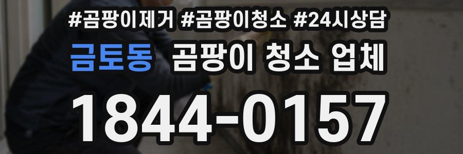 금토동 곰팡이 청소 업체