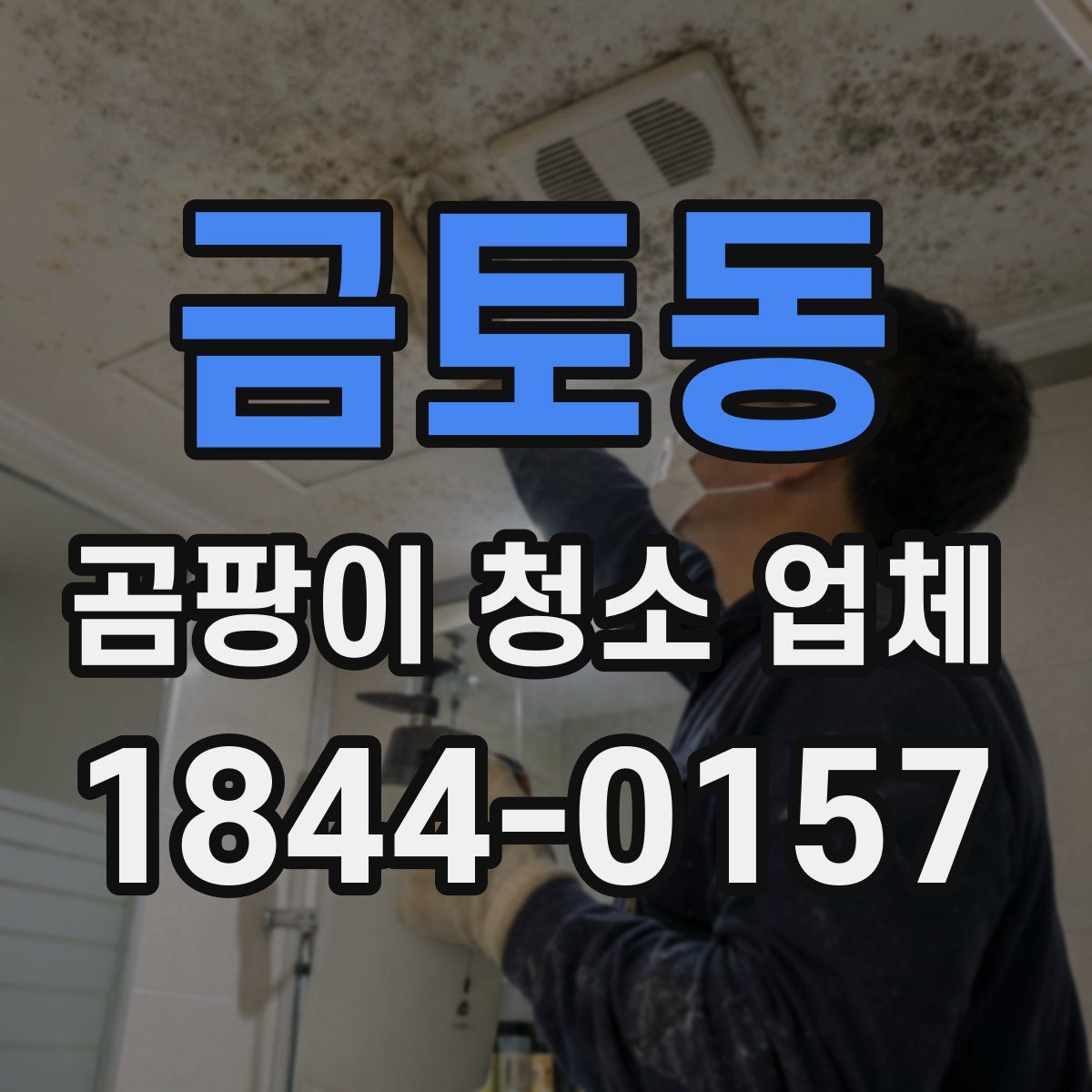 금토동 곰팡이 청소 업체