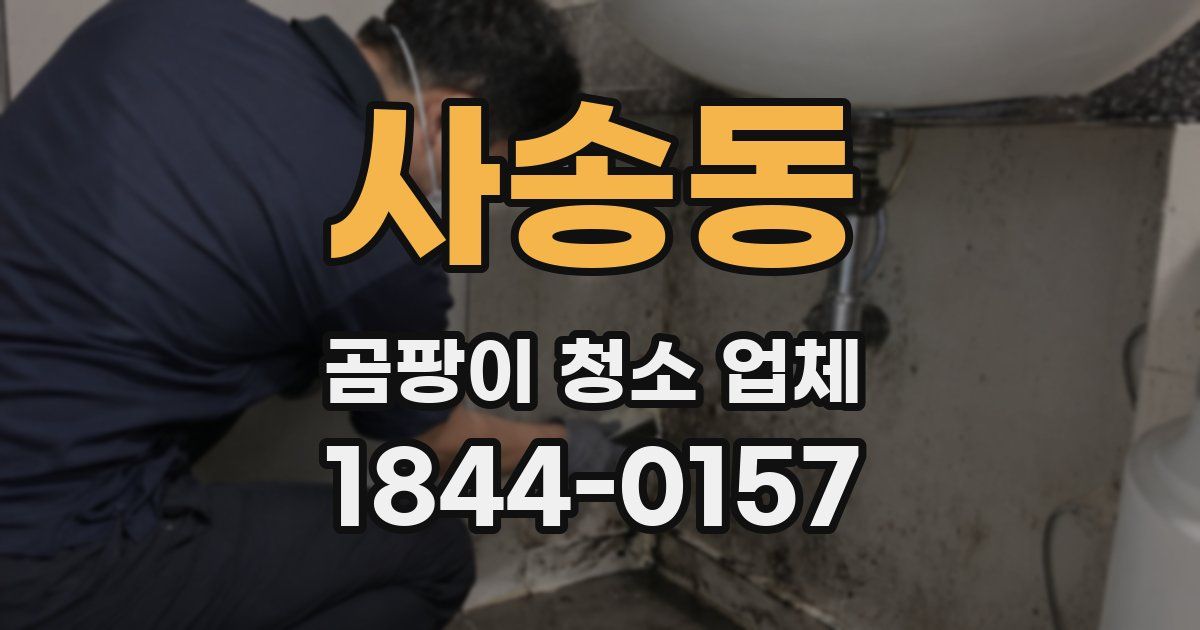 사송동 곰팡이 청소 업체