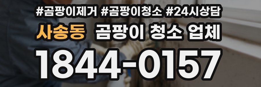 사송동 곰팡이 청소 업체
