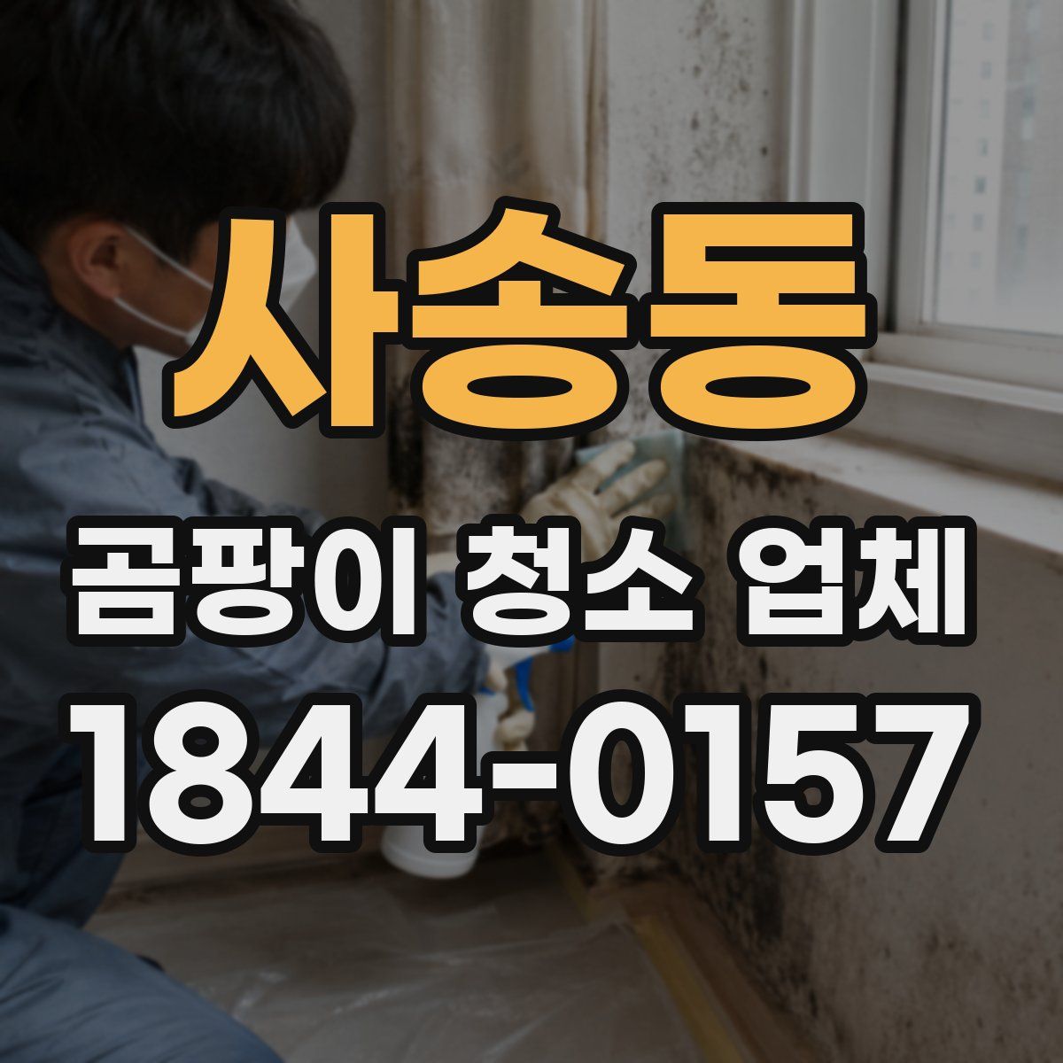 사송동 곰팡이 청소 업체