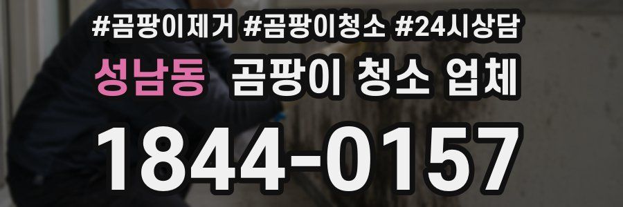 성남동 곰팡이 청소 업체