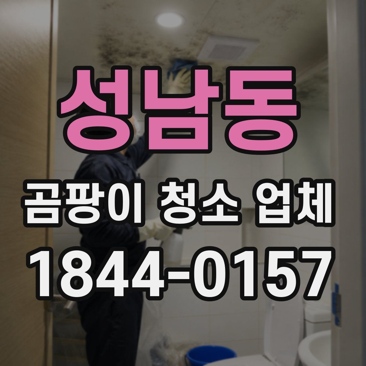 성남동 곰팡이 청소 업체