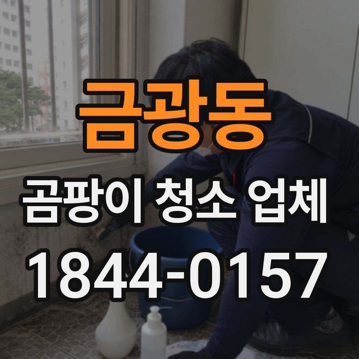 금광동 곰팡이 청소 업체