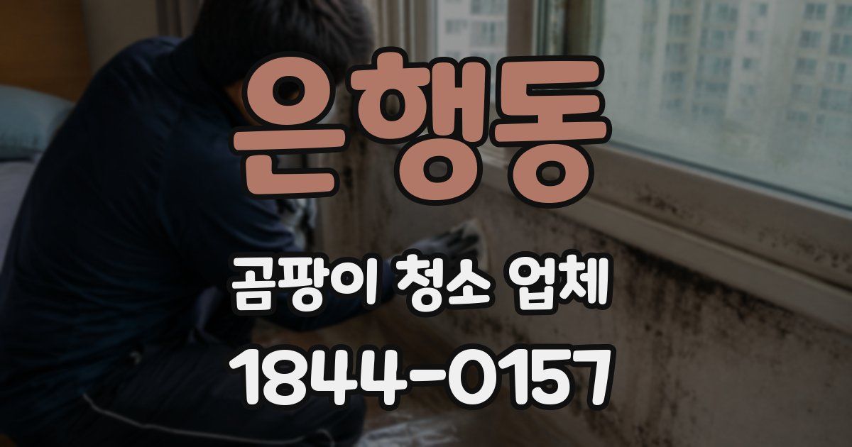 은행동 곰팡이 청소 업체