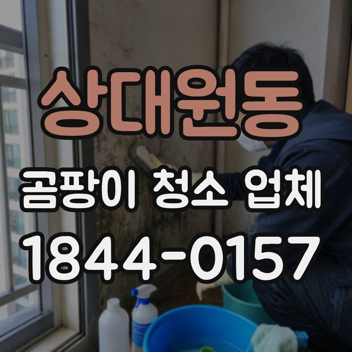 상대원동 곰팡이 청소 업체