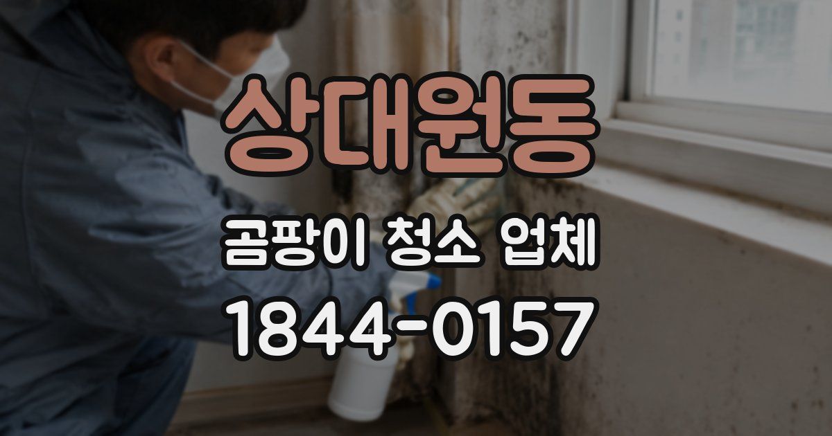상대원동 곰팡이 청소 업체