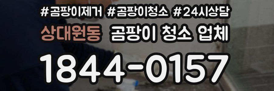 상대원동 곰팡이 청소 업체