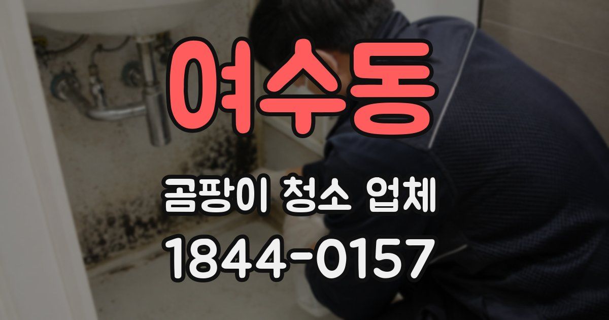 여수동 곰팡이 청소 업체