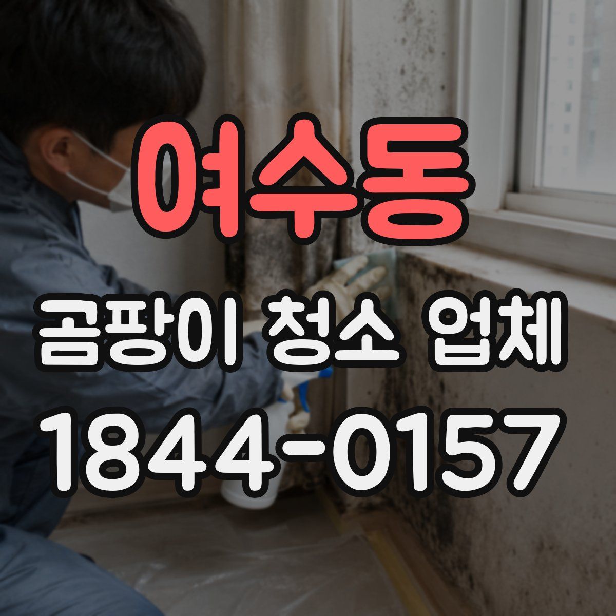 여수동 곰팡이 청소 업체