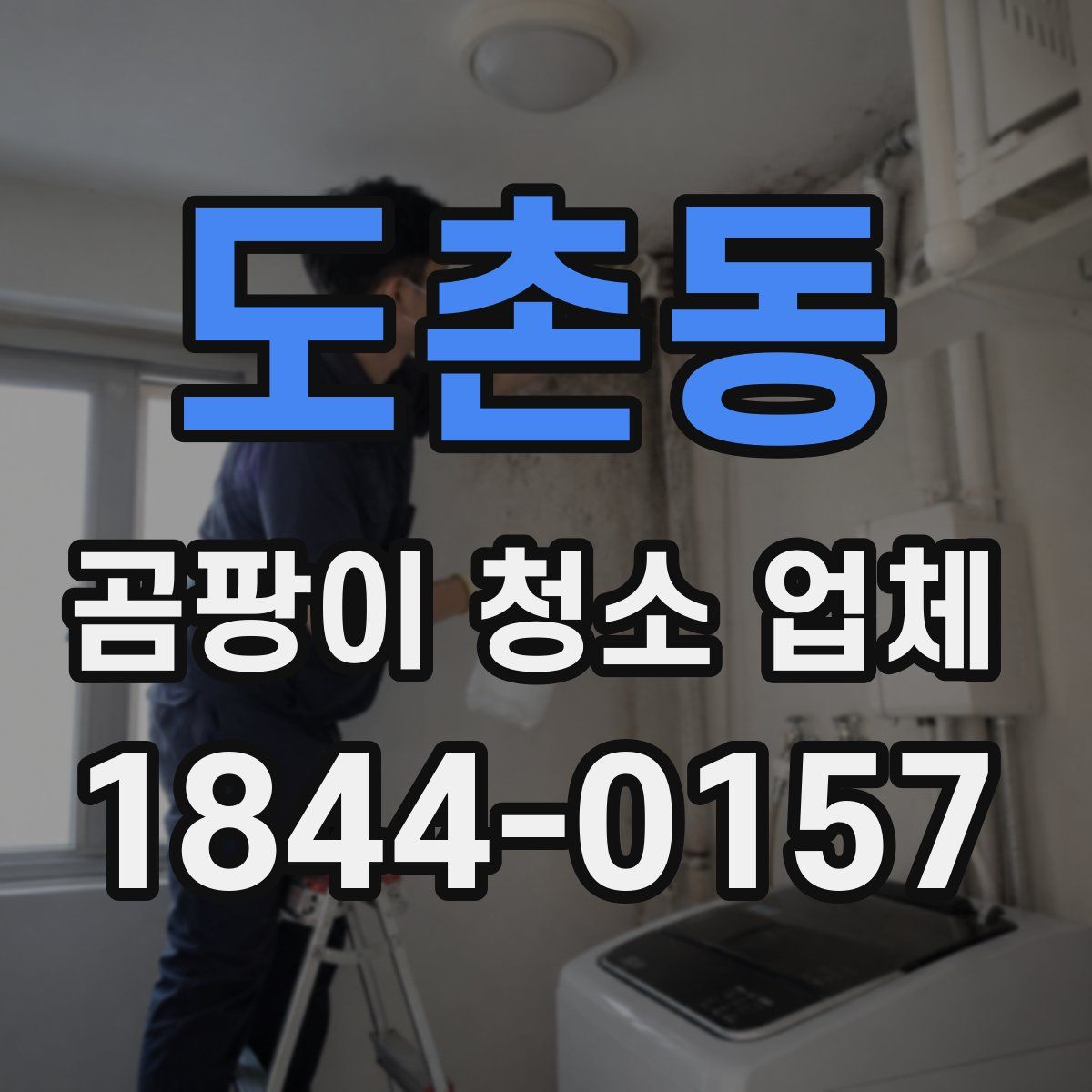 도촌동 곰팡이 청소 업체