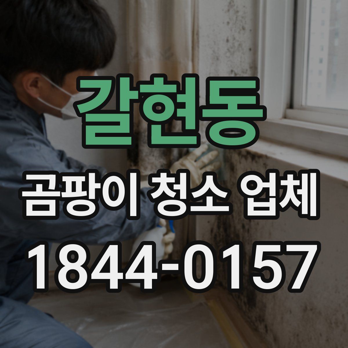 갈현동 곰팡이 청소 업체