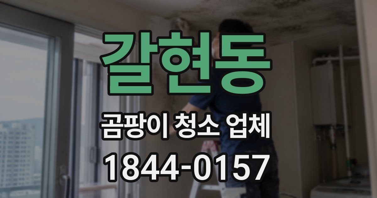 갈현동 곰팡이 청소 업체