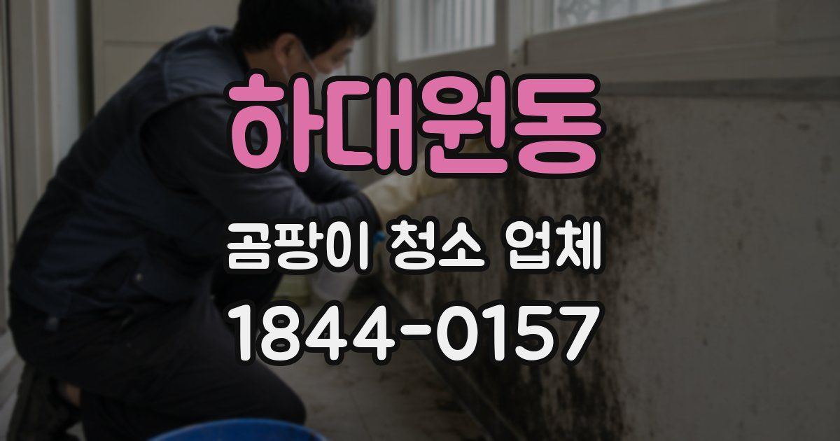 하대원동 곰팡이 청소 업체
