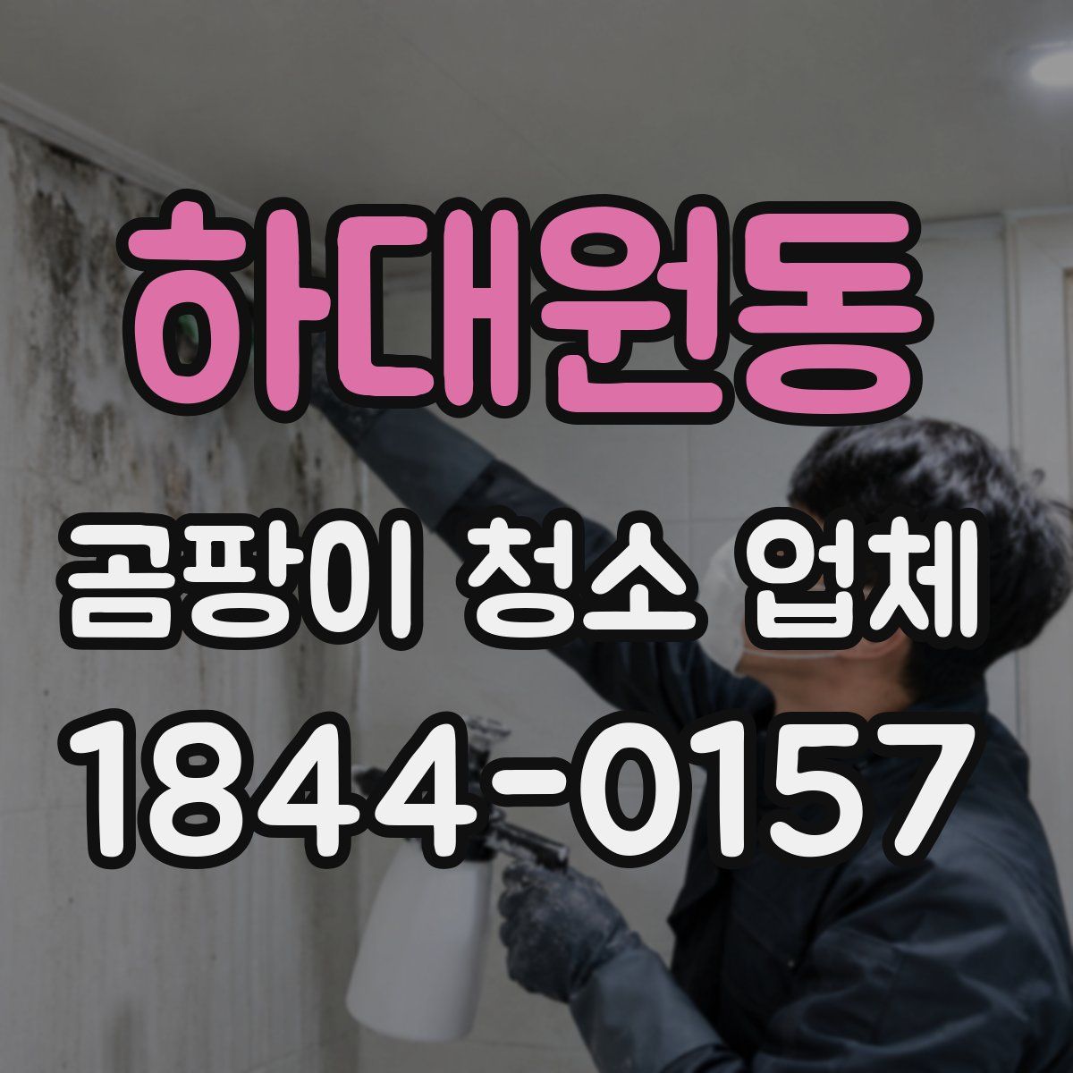 하대원동 곰팡이 청소 업체