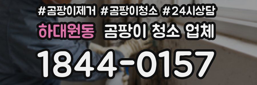 하대원동 곰팡이 청소 업체