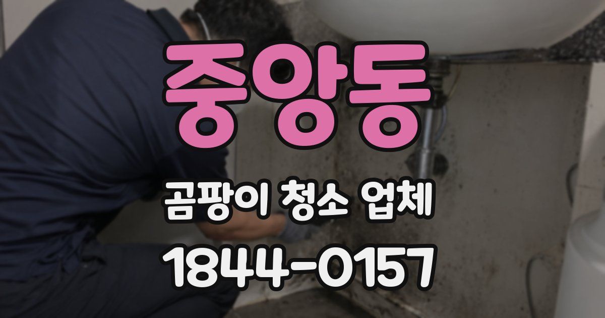 중앙동 곰팡이 청소 업체
