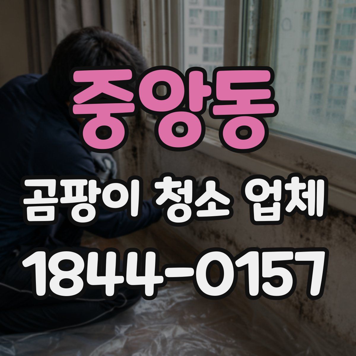 중앙동 곰팡이 청소 업체