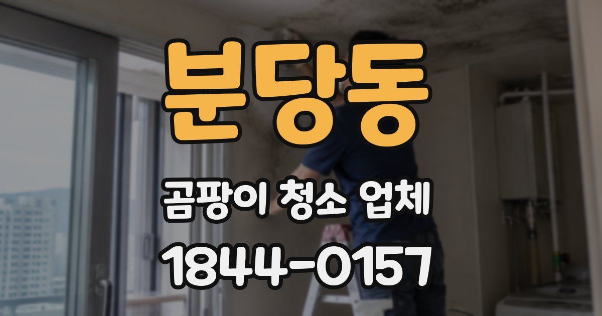 분당동 곰팡이 청소 업체
