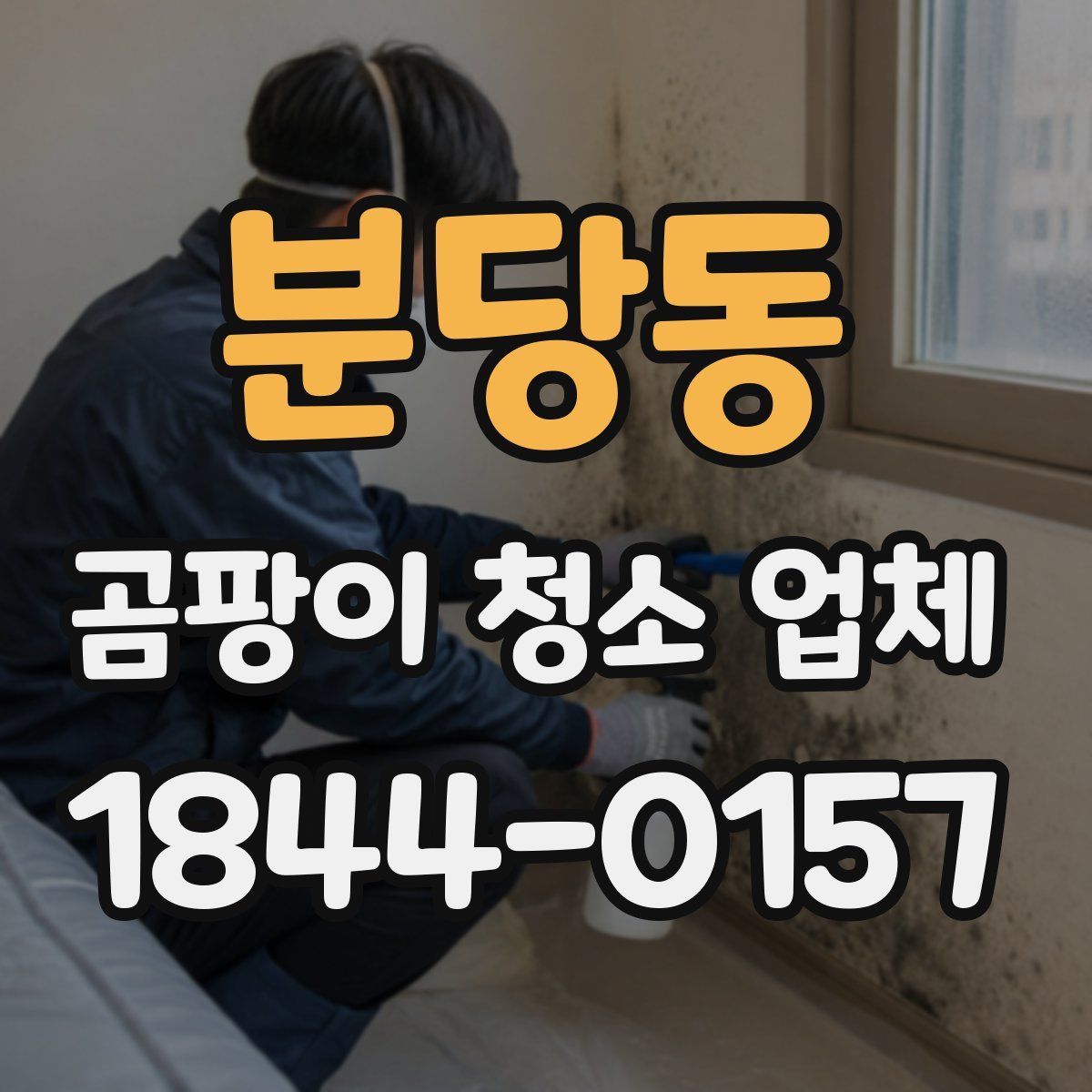 분당동 곰팡이 청소 업체