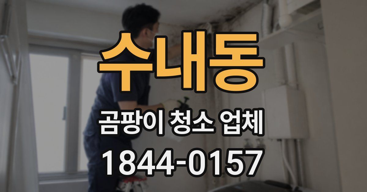 수내동 곰팡이 청소 업체