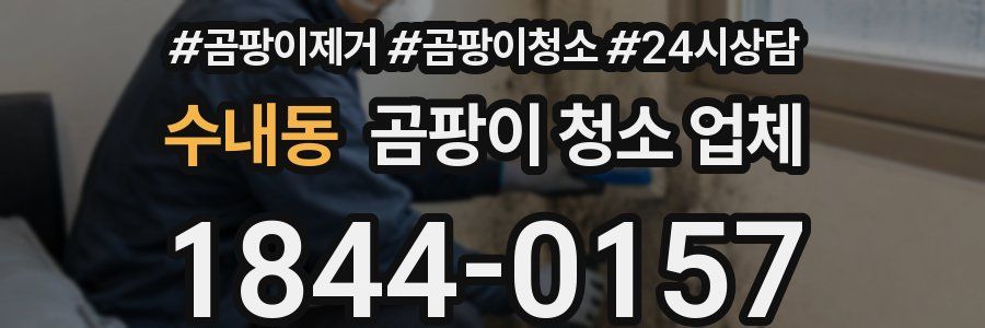 수내동 곰팡이 청소 업체