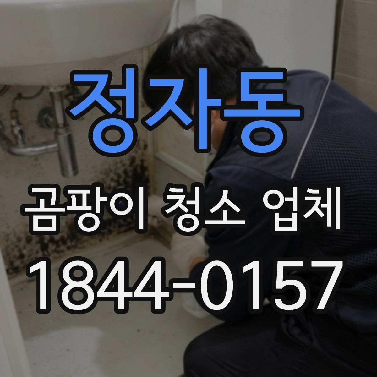 정자동 곰팡이 청소 업체
