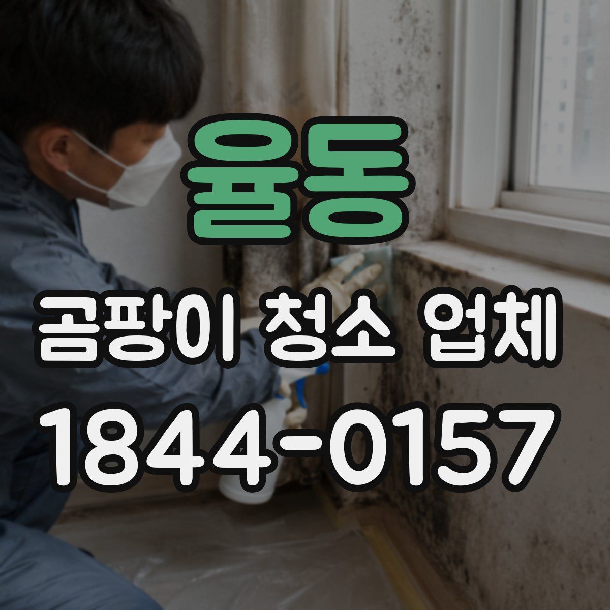 율동 곰팡이 청소 업체