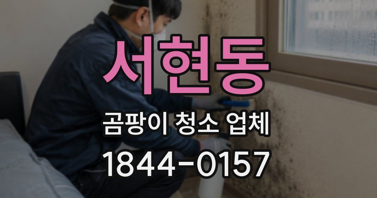 서현동 곰팡이 청소 업체