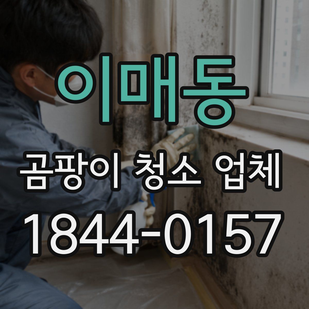 이매동 곰팡이 청소 업체