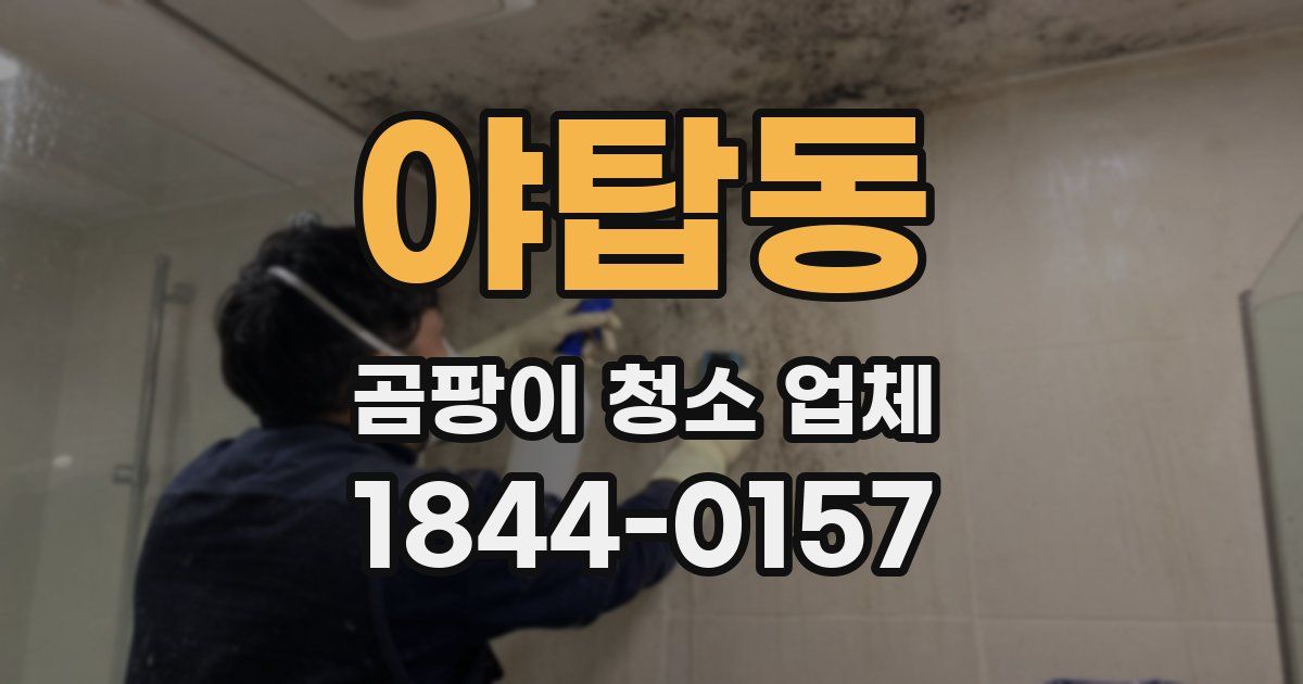 야탑동 곰팡이 청소 업체