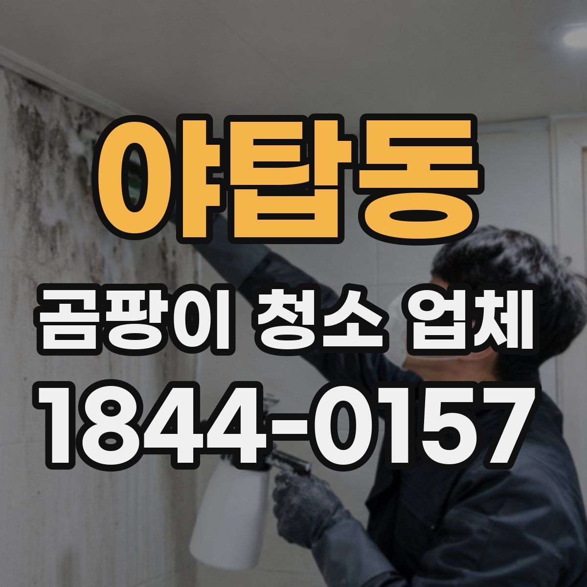 야탑동 곰팡이 청소 업체