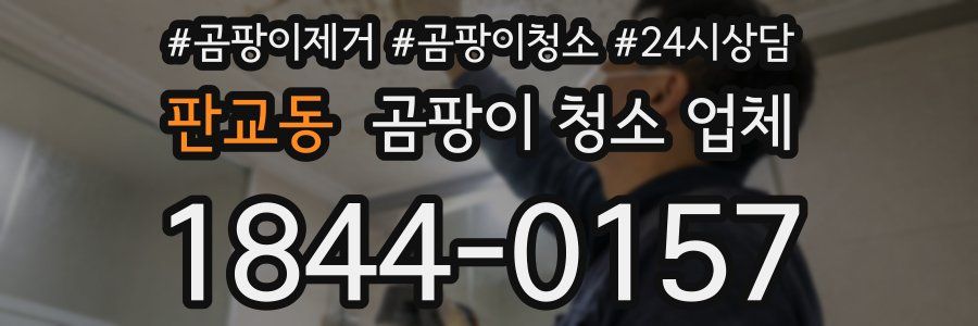 판교동 곰팡이 청소 업체
