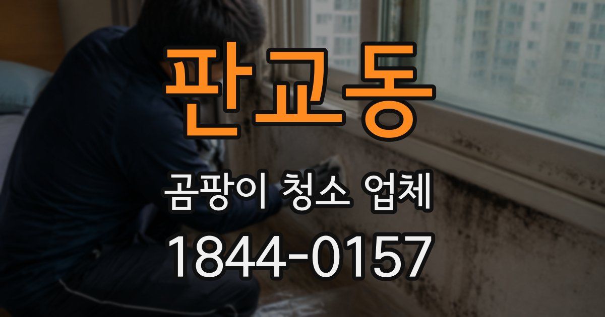 판교동 곰팡이 청소 업체