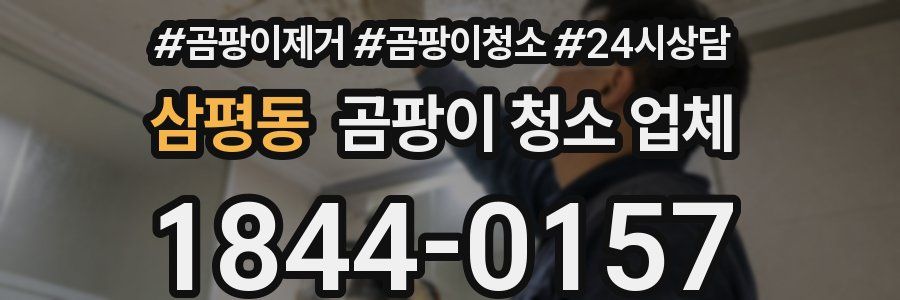 삼평동 곰팡이 청소 업체