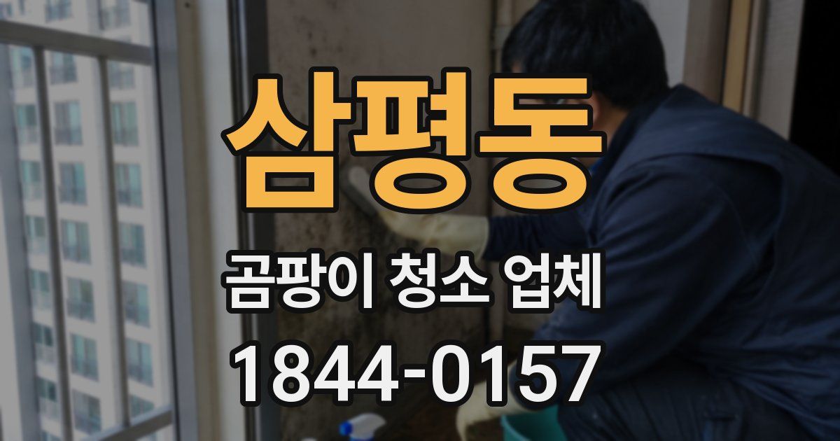 삼평동 곰팡이 청소 업체