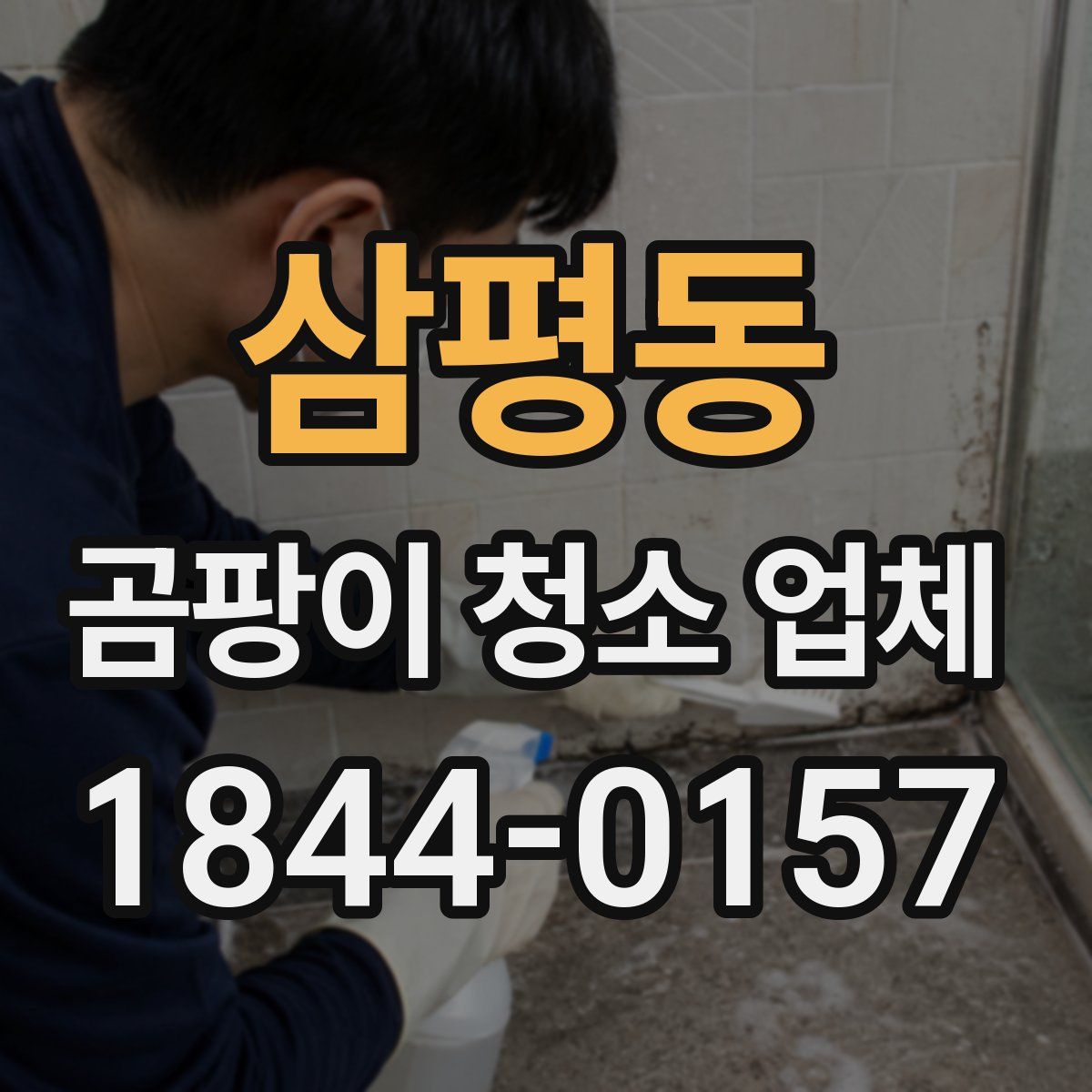 삼평동 곰팡이 청소 업체