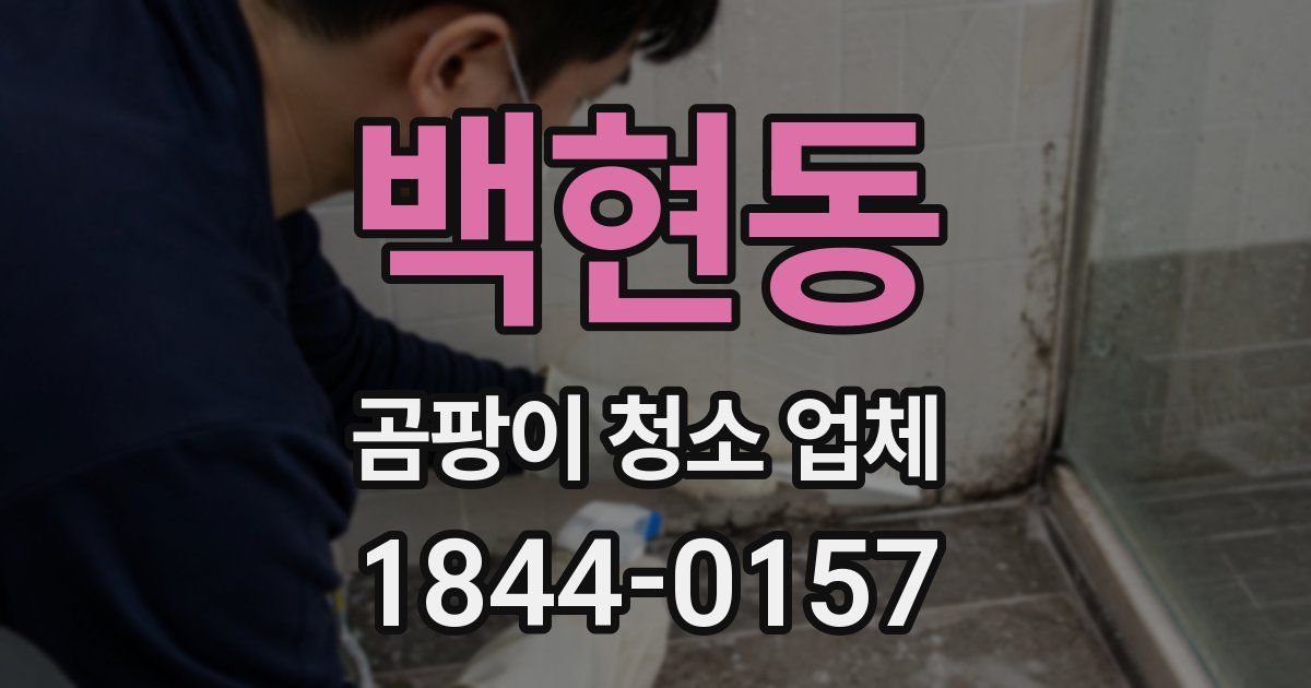백현동 곰팡이 청소 업체