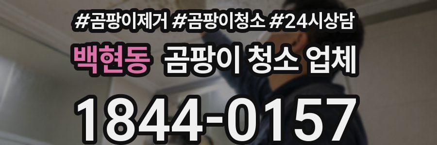 백현동 곰팡이 청소 업체