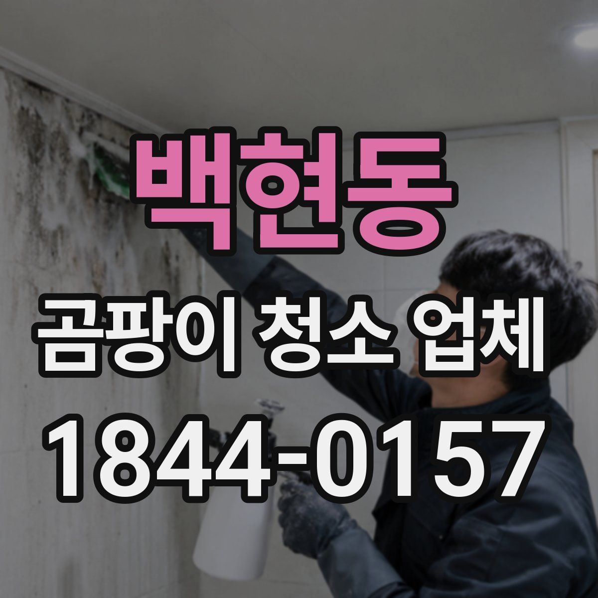 백현동 곰팡이 청소 업체