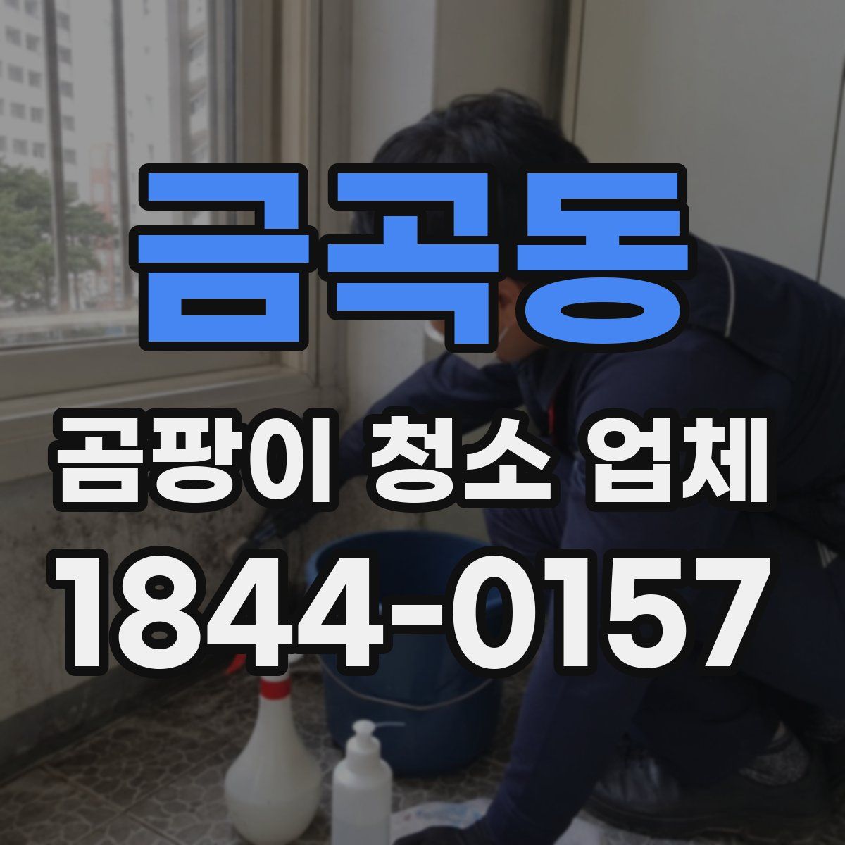 금곡동 곰팡이 청소 업체